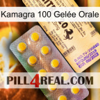 Kamagra 100 Gelée Orale new06